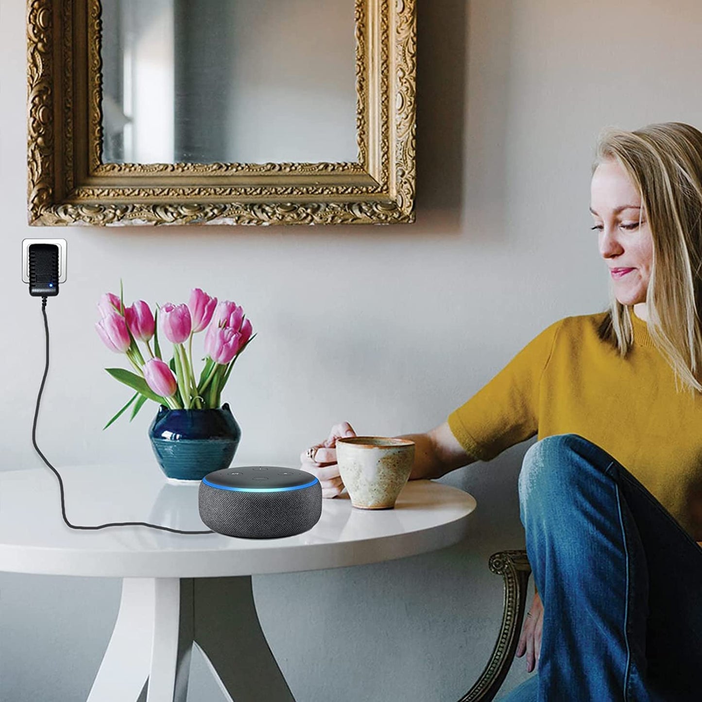 alexa echo dot charger