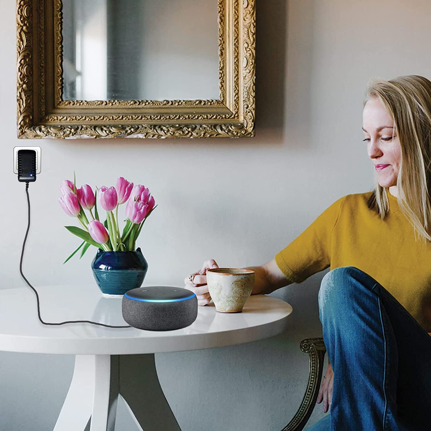 alexa echo dot charger